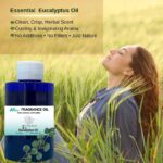 Organic essential oils Eucalyptus