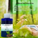Aromatherapy oils Tea Tree