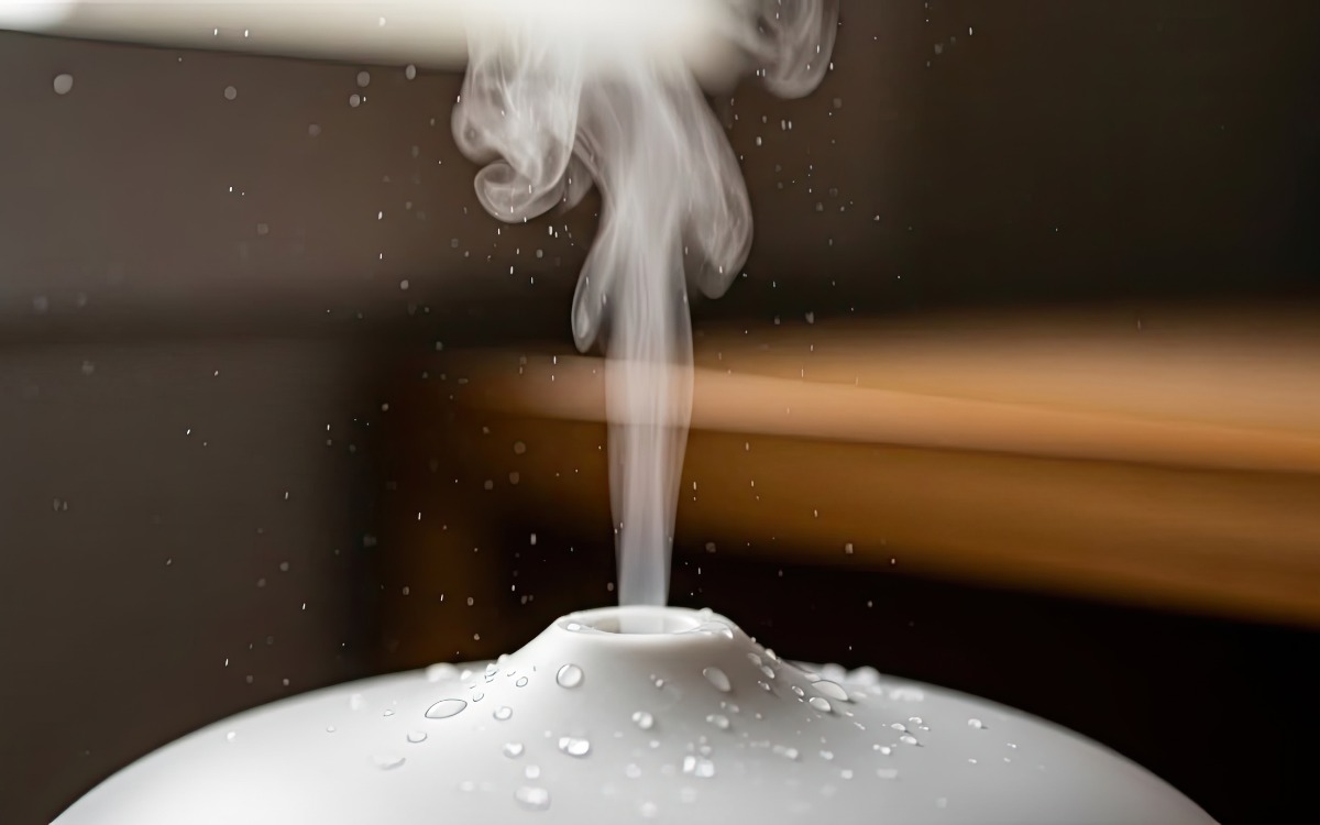 Oil Diffuser vs Water Diffuser in Humid Climates